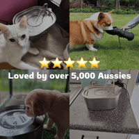 Purifur™ Smart Hydration Fountain