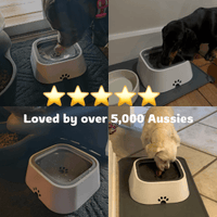 Purifur™ SpillGuard Plastic Bowl