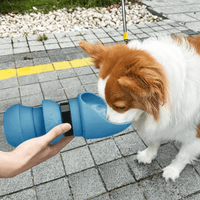 Purifur™ TravelFlow Bottle