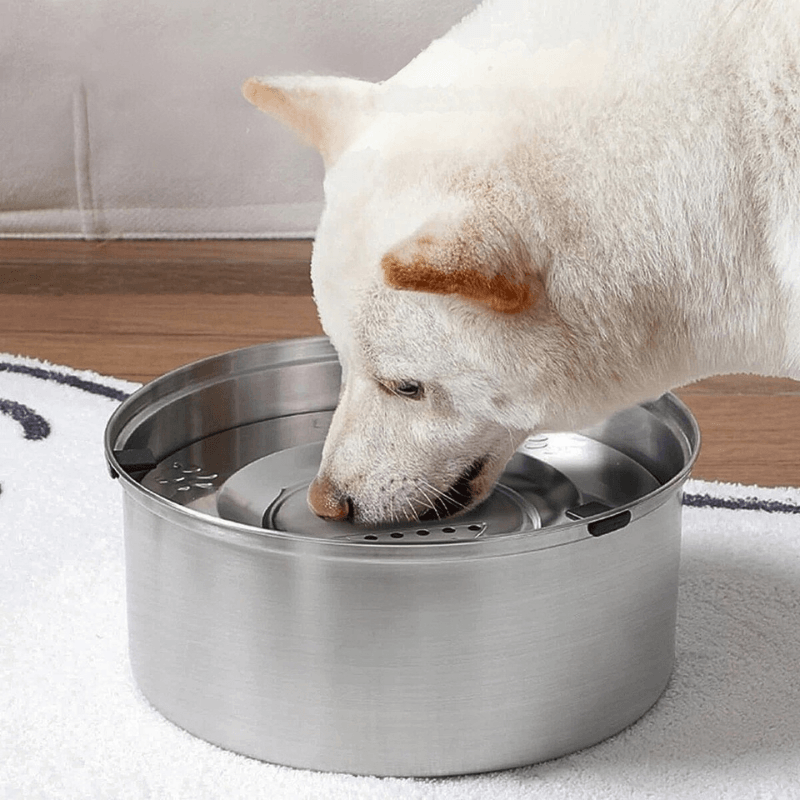 Purifur™ SpillGuard Stainless Bowl
