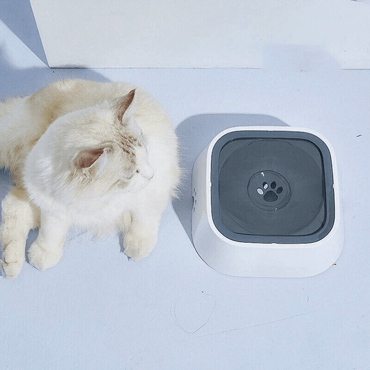 Purifur™ SpillGuard Plastic Bowl