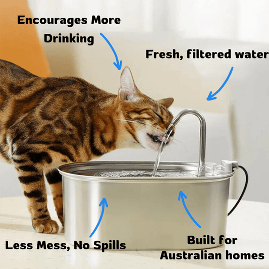 Purifur™ Smart Hydration Fountain