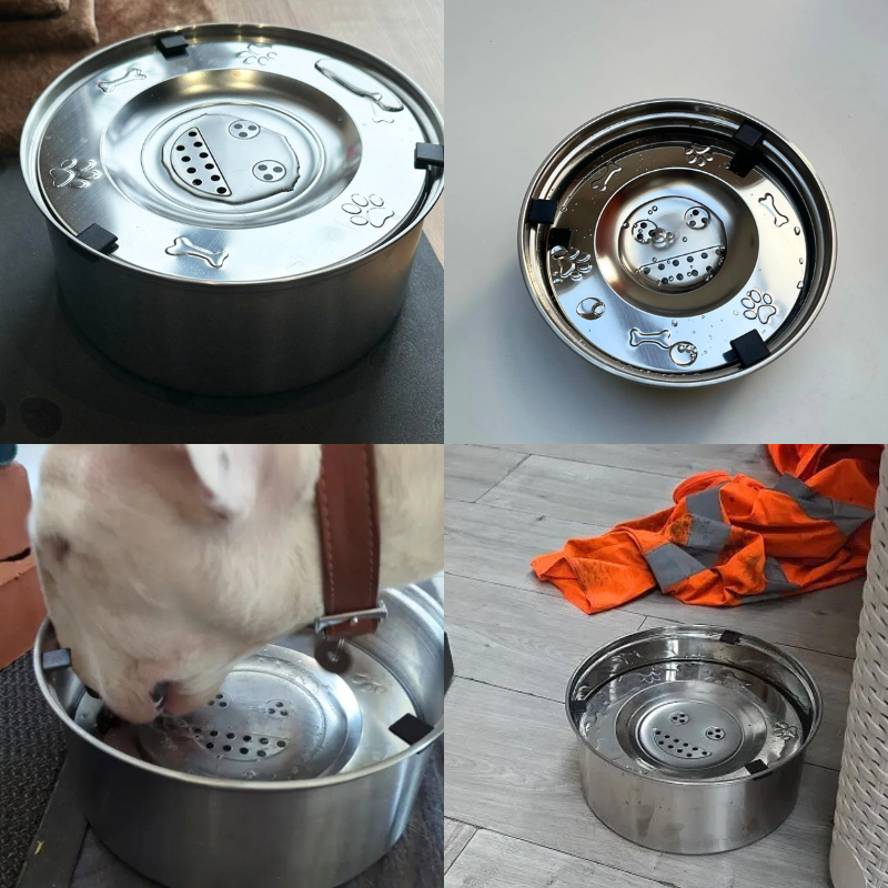 Purifur™ SpillGuard Stainless Bowl