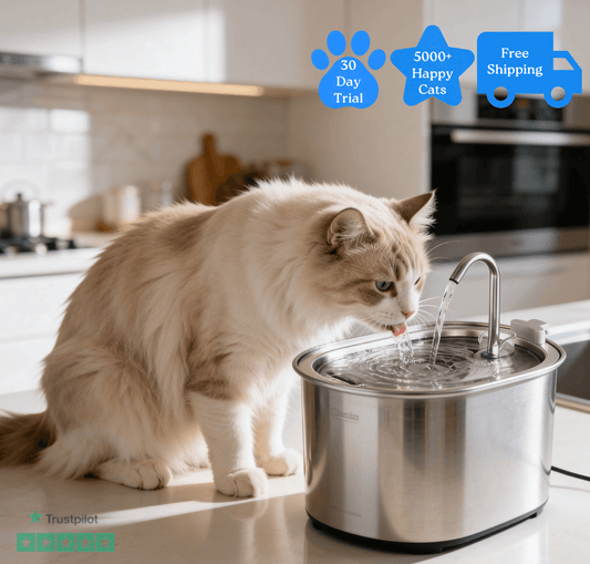 Purifur™ Smart Hydration Fountain